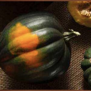 Table Queen'- Winter Squash  - (Heirloom)
