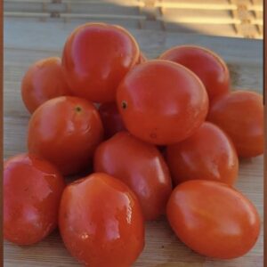 Grappoli d'Inverno plumsauce tomato